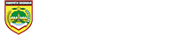 logo-light